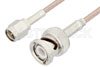 SMA Male to BNC Male Cable Using 75 Ohm RG179 Coax, RoHS
