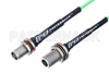 N Female Bulkhead to TNC Female Bulkhead Low Loss Cable Using PE-P160LL Coax